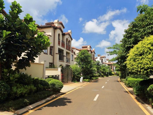 東站國際商業廣場東站國際商業廣場還有什么生紙前景？